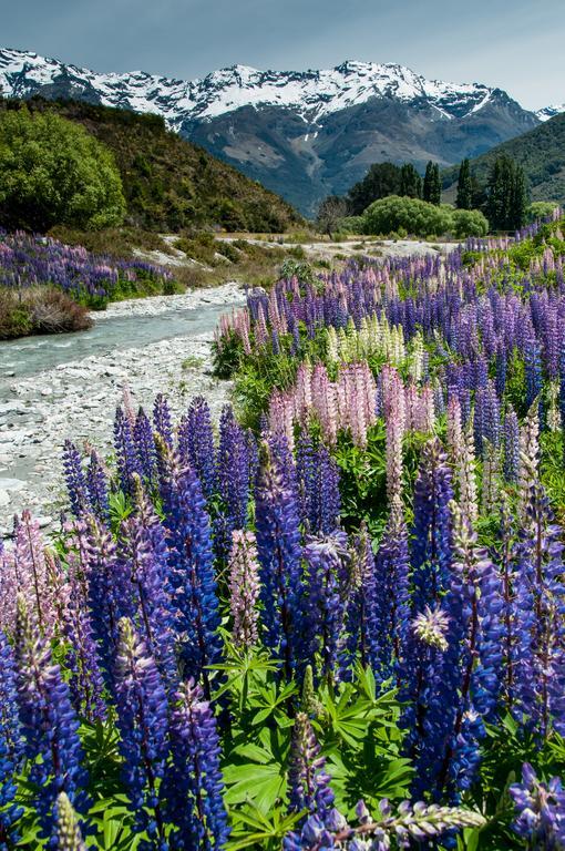 Glenorchy Peaks Bed And Breakfast Exteriér fotografie