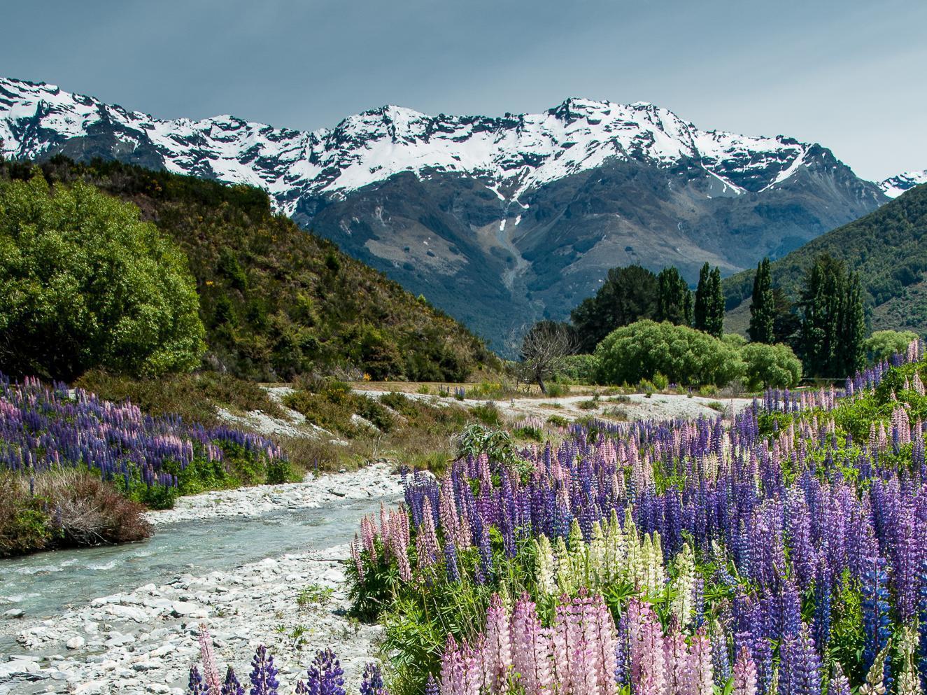 Glenorchy Peaks Bed And Breakfast Exteriér fotografie